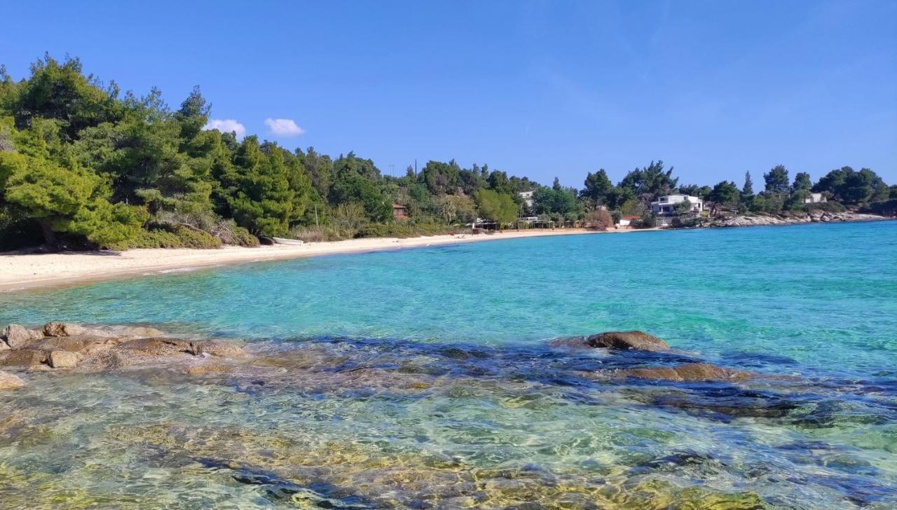 To Helidoni Apartment & Gardens Νικήτη Εξωτερικό φωτογραφία