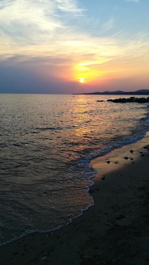 To Helidoni Apartment & Gardens Νικήτη Εξωτερικό φωτογραφία